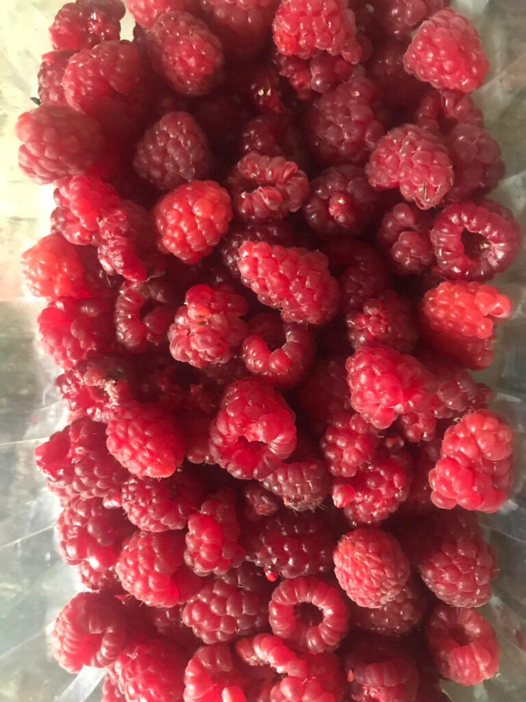 himbeeren